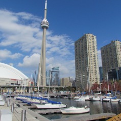 Hafen mit Blick auf den CN Tower Toronto, Ontario- (c) tanadia.com