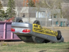Don't txt and drive